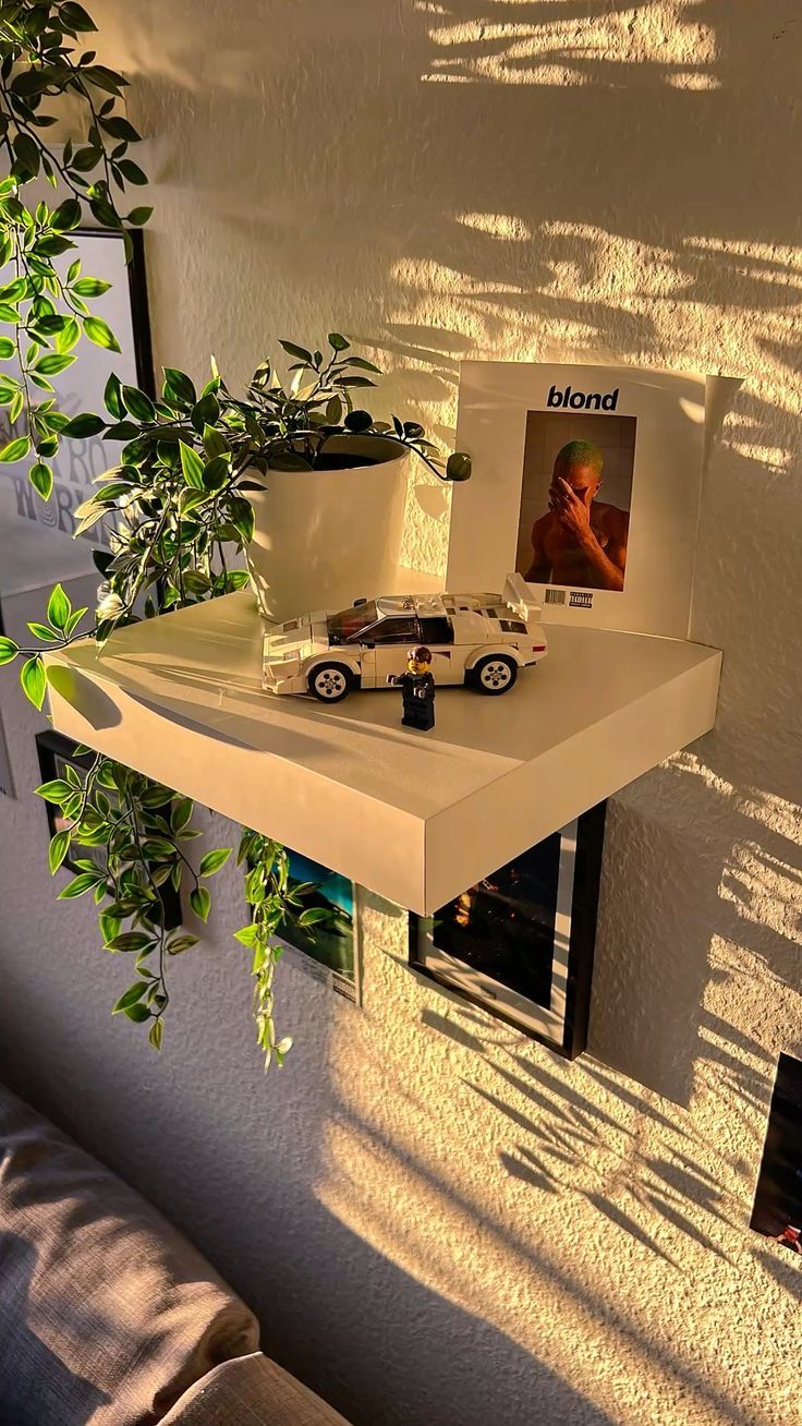 HANGING PLANTS