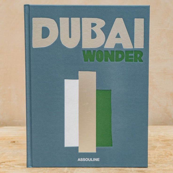 DUBAI WONDER FAKE TRAVEL SERIES BOOK