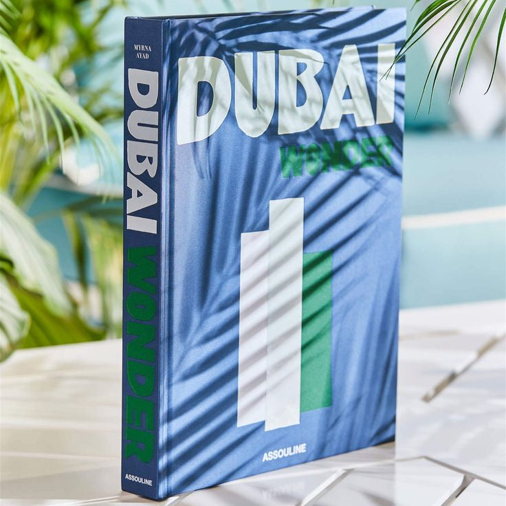 DUBAI WONDER FAKE TRAVEL SERIES BOOK