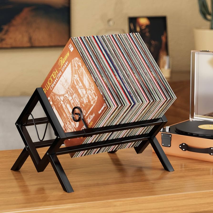 VINYL RECORD ALBUM STORAGE