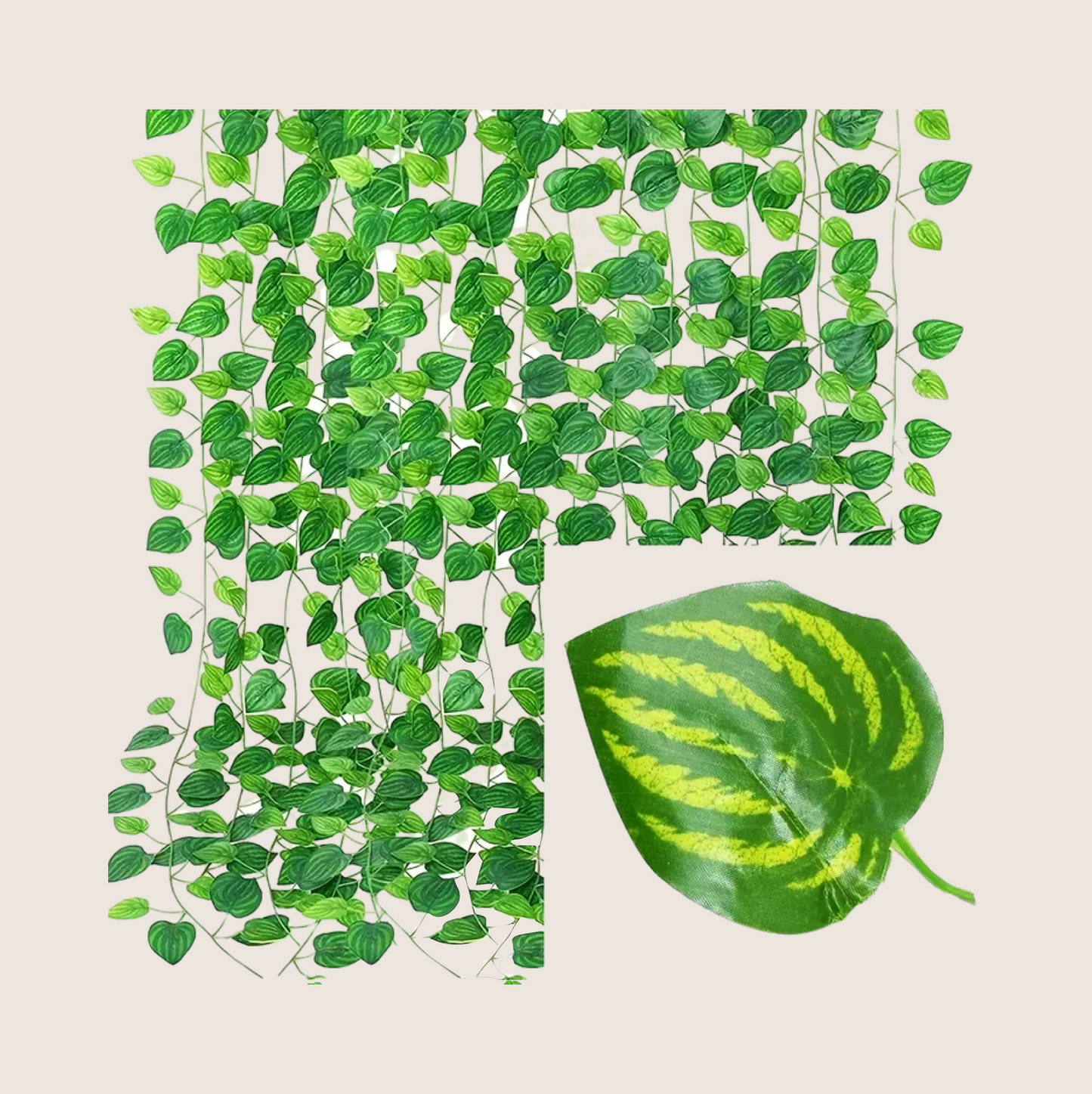 GARLAND PLANT