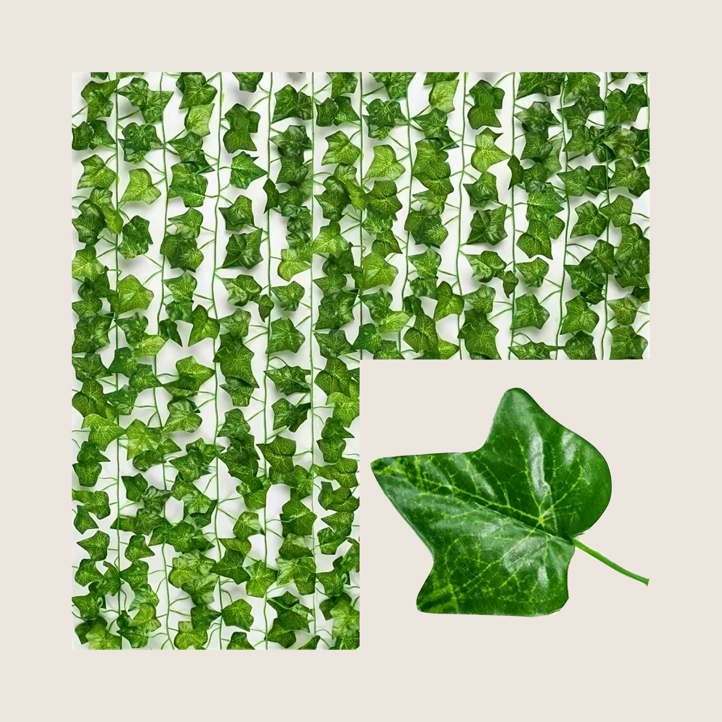 GARLAND PLANT