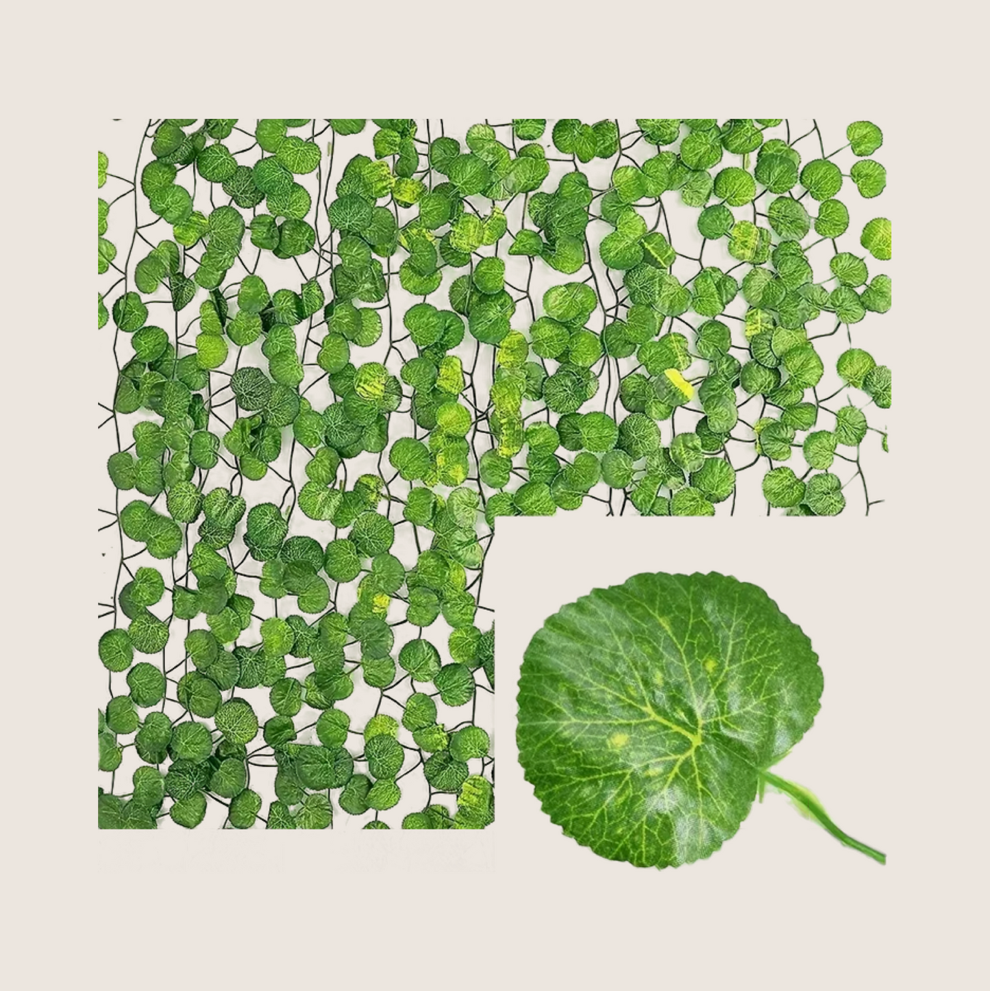 GARLAND PLANT