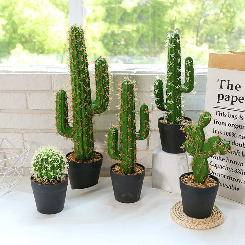 CACTUS PLANT