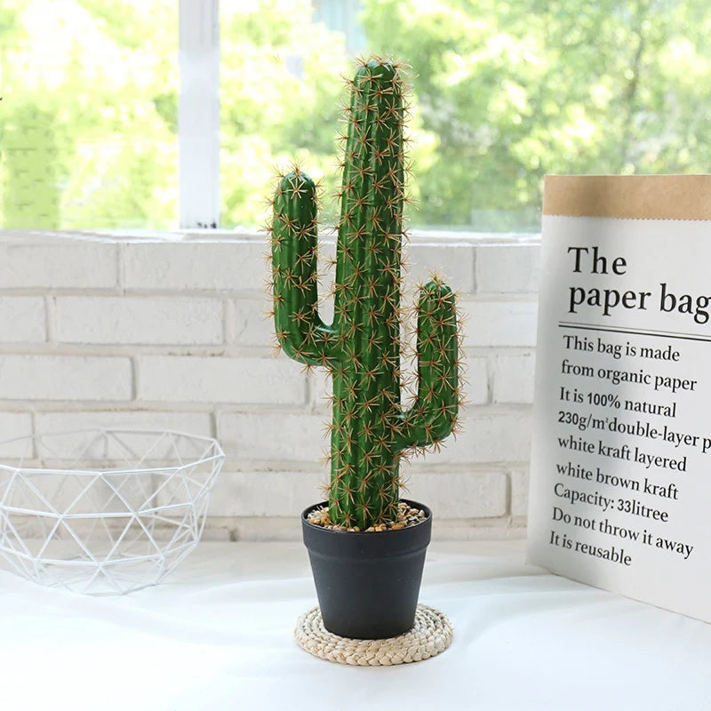 CACTUS PLANT