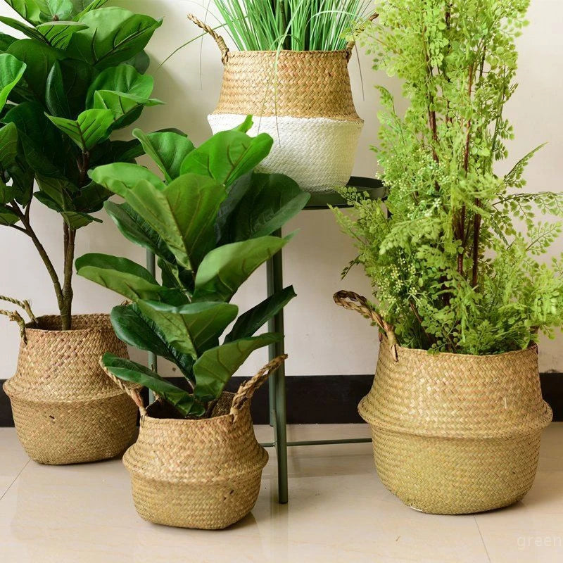 WICKER PLANT BASKET
