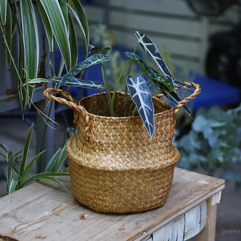 WICKER PLANT BASKET