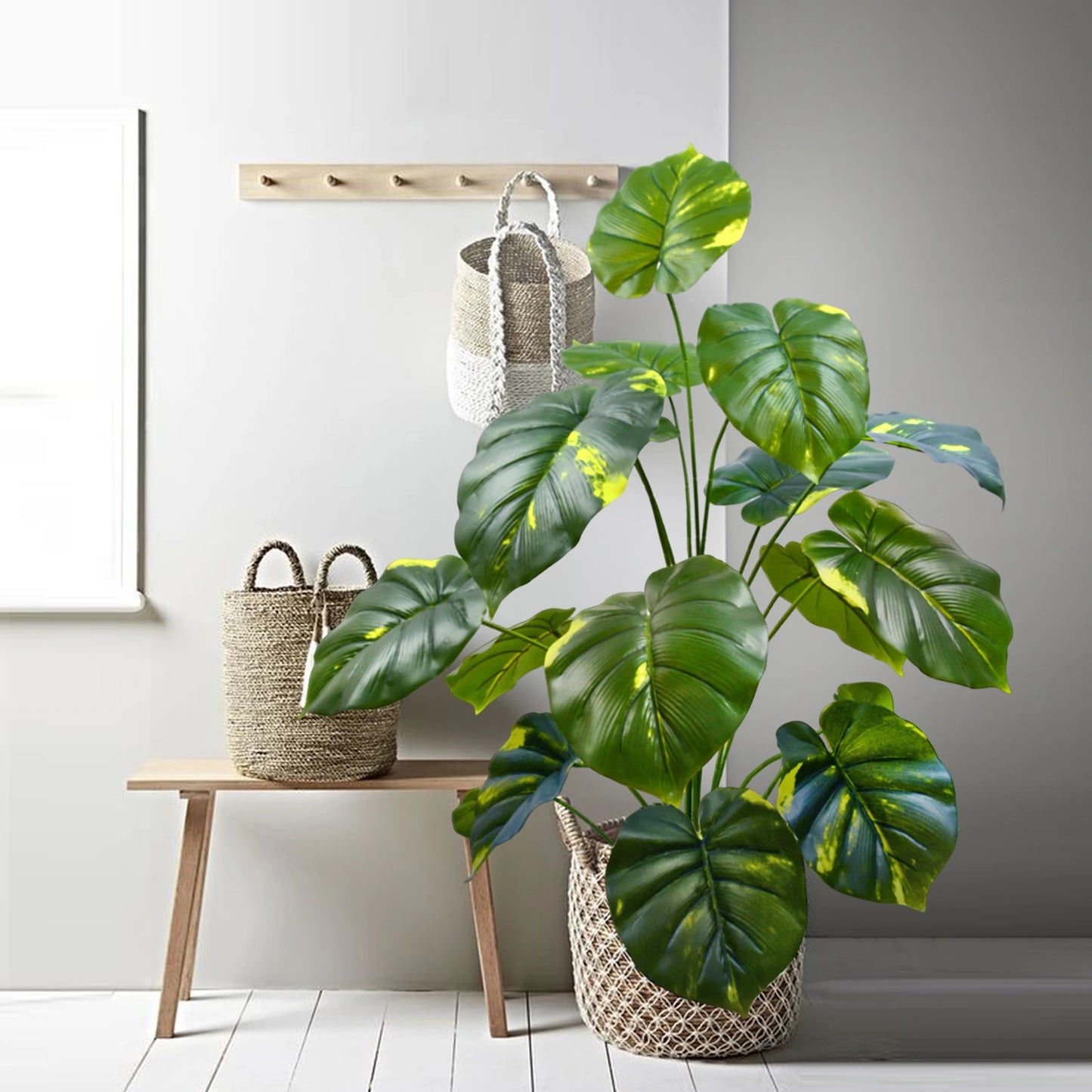 JUNGLE FLOOR PLANTS