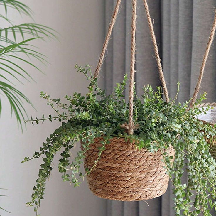 HANGING PLANT BASKET