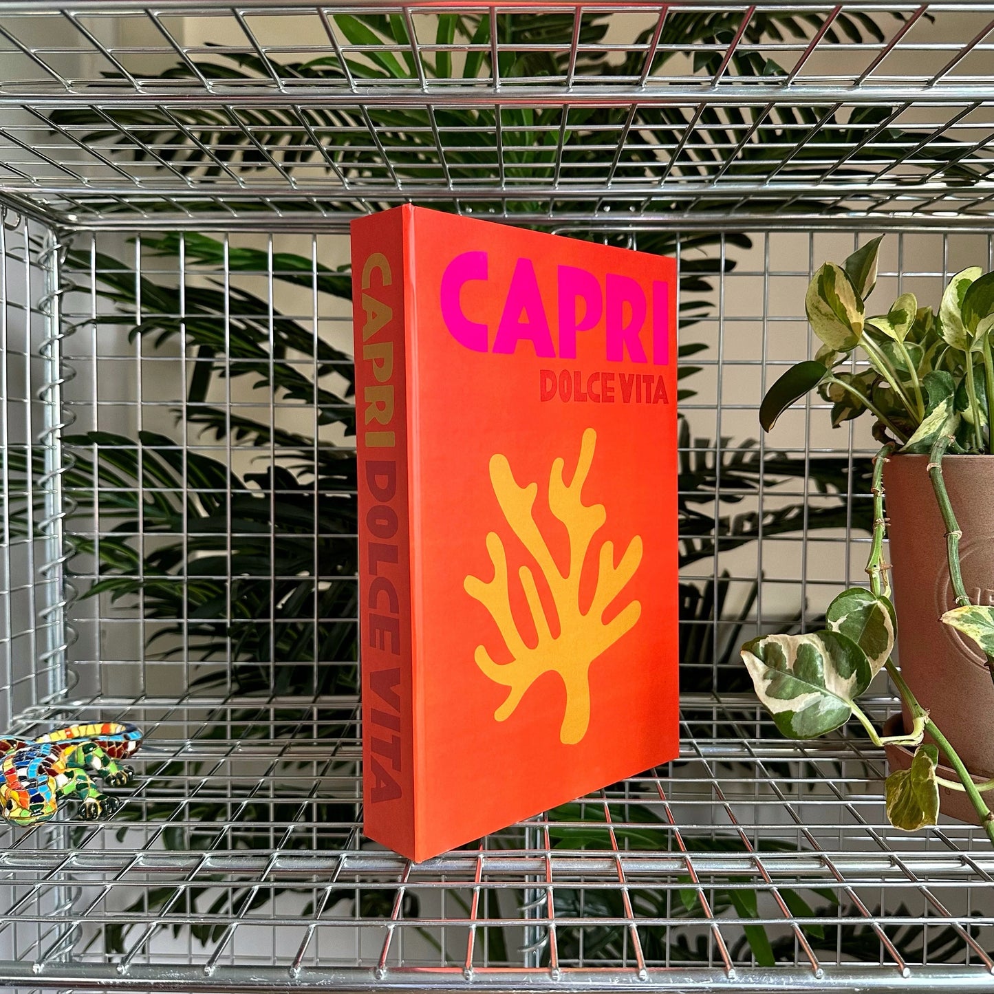 CAPRI DOLCE VITA FAKE TRAVEL SERIES BOOK