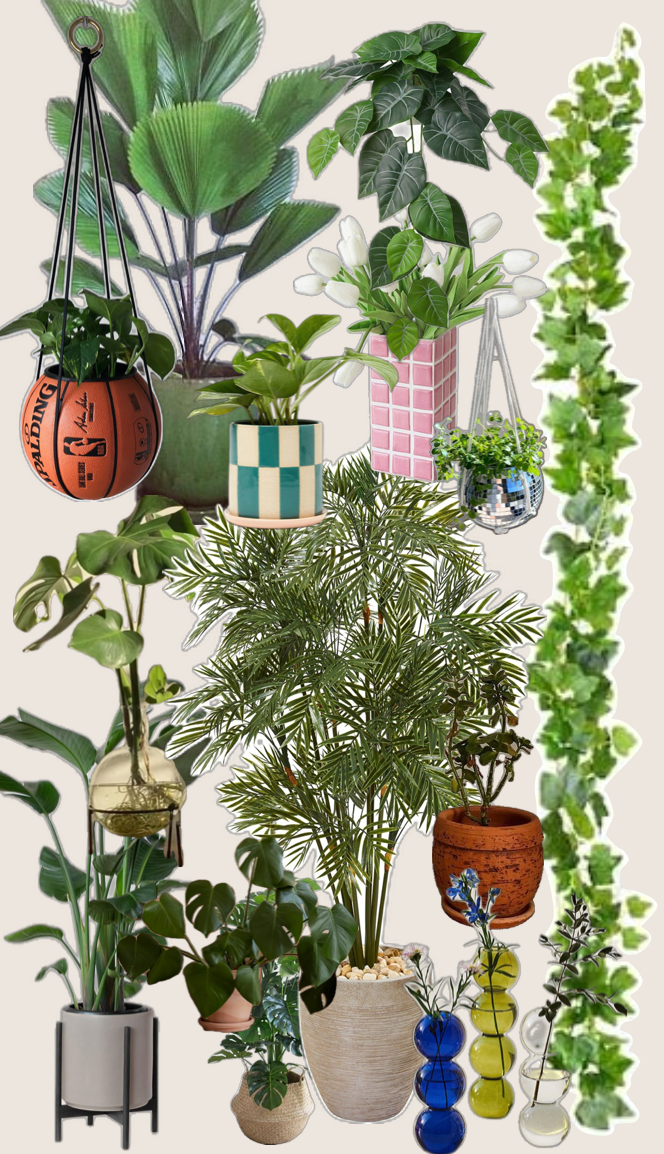 PLANTS & POTS