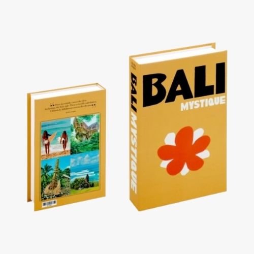 FAKE TRAVEL SERIES BOOKS