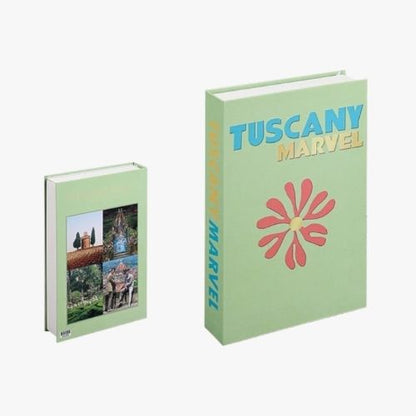 FAKE TRAVEL SERIES BOOKS