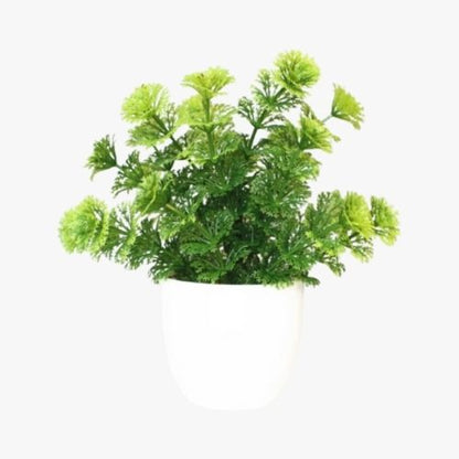 MINI TABLE PLANTS