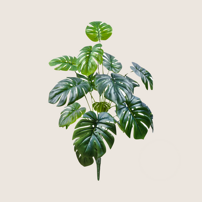JUNGLE FLOOR PLANTS
