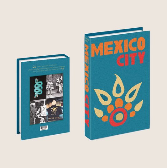 MEXICO CITY FAKE TRAVEL SERIES BOOK