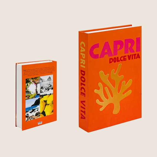 CAPRI DOLCE VITA FAKE TRAVEL SERIES BOOK