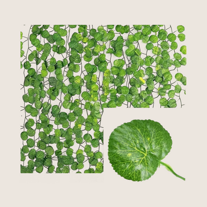 GARLAND PLANT