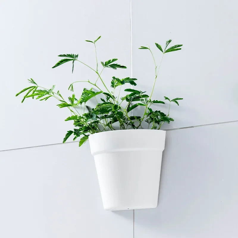 WALL MOUNTED POTS