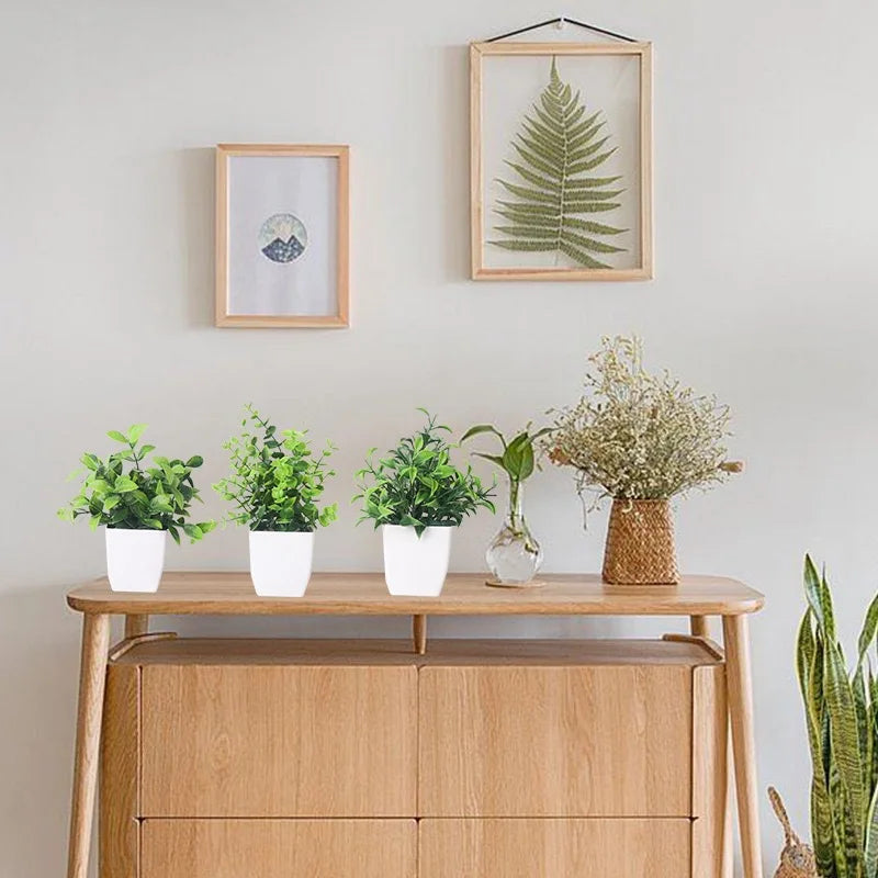 MINI TABLE PLANTS