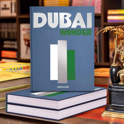 DUBAI WONDER FAKE TRAVEL SERIES BOOK